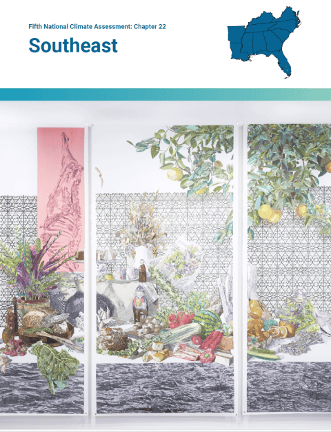 NCA5 Southeast Thumbnail