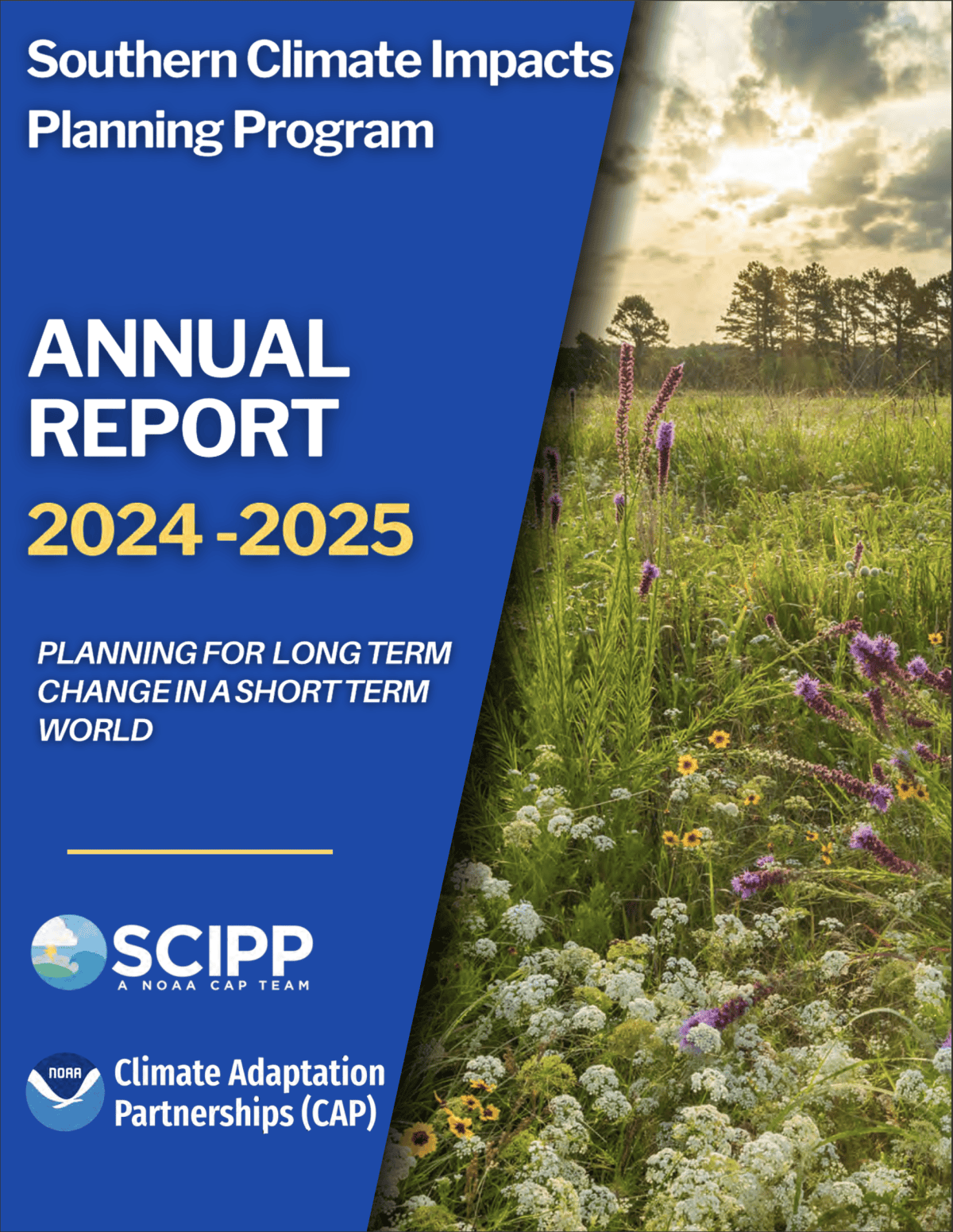 Screenshot 2025 08 25 at 12.53.56 PM